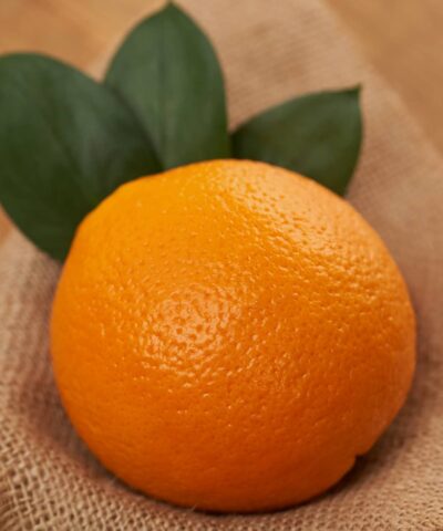 ส้มซันควิก