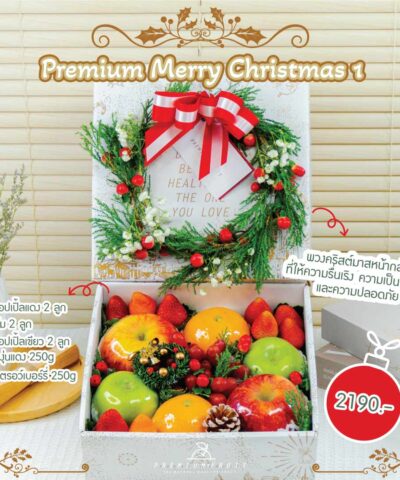 Christmas New Collection 01