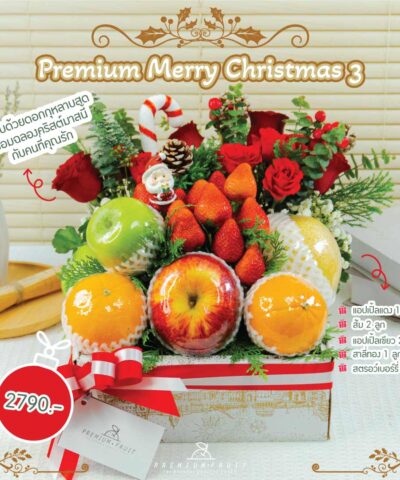 Christmas New Collection 03