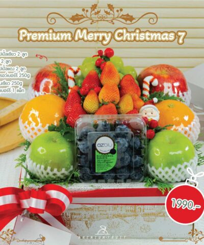 Christmas New Collection 07