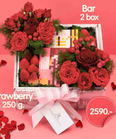 Happy Valentine Day Set 2024
