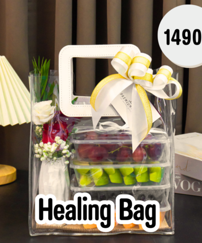 04 Healing Bag  (กระเป๋าแห่งการฮีลใจ)