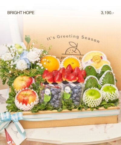 009 Bright Hope (กระเช้าแห่งความหวังที่สดใส)